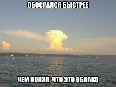 Прикрепленное изображение: Grib.jpg